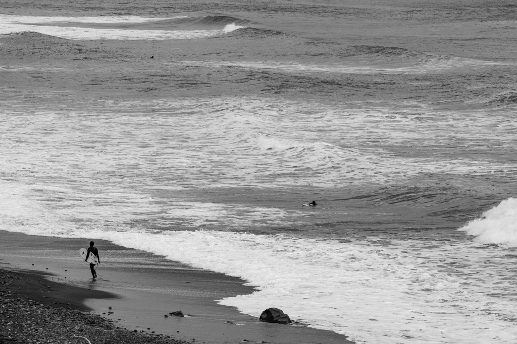 SURF
