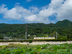 登るこわび