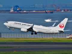 日本航空/JAL B737-800 JA342J(羽田空港)
