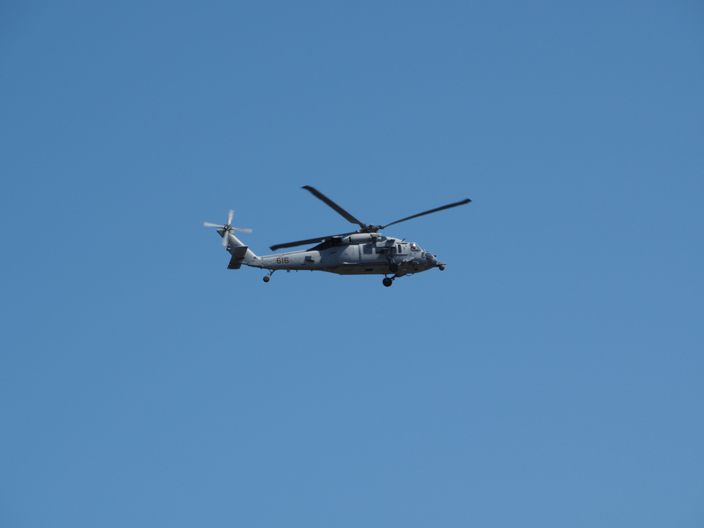 US NAVY UH-60(浦安市総合公園)