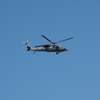 US NAVY UH-60(浦安市総合公園)