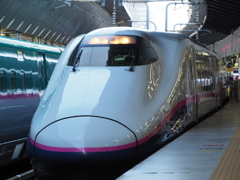 東北新幹線 E2系 やまびこ(東京)