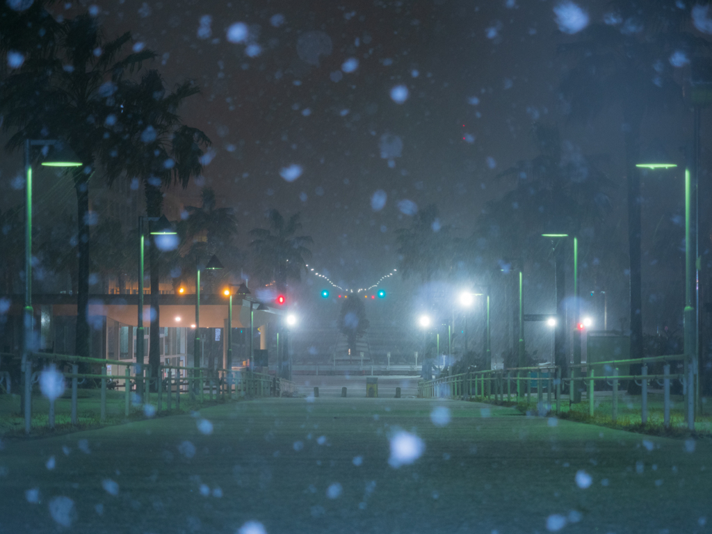 浦安雪景色 総合公園