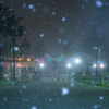 浦安雪景色 総合公園