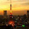 夕暮れのタワー