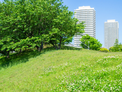 散歩日和