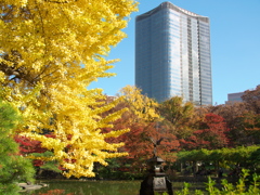 日比谷ミッドタウンと日比谷公園