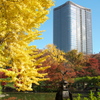 日比谷ミッドタウンと日比谷公園