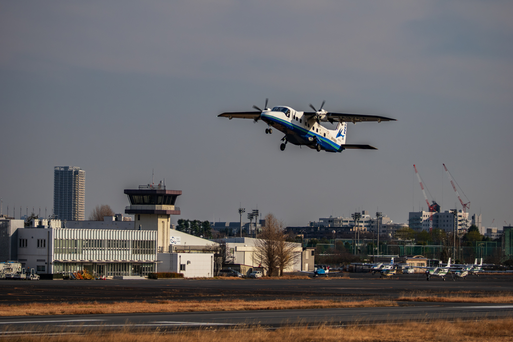 空飛ぶトビウオ