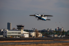 空飛ぶトビウオ