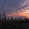 夕刻の新木場
