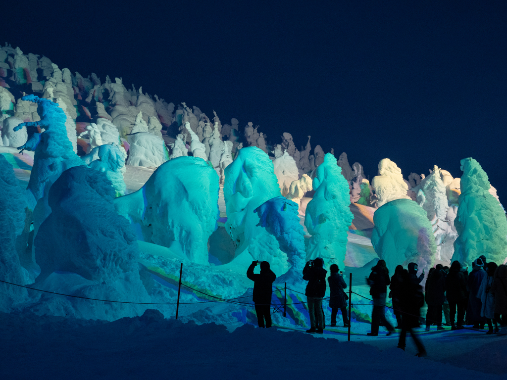 夜の樹氷観光