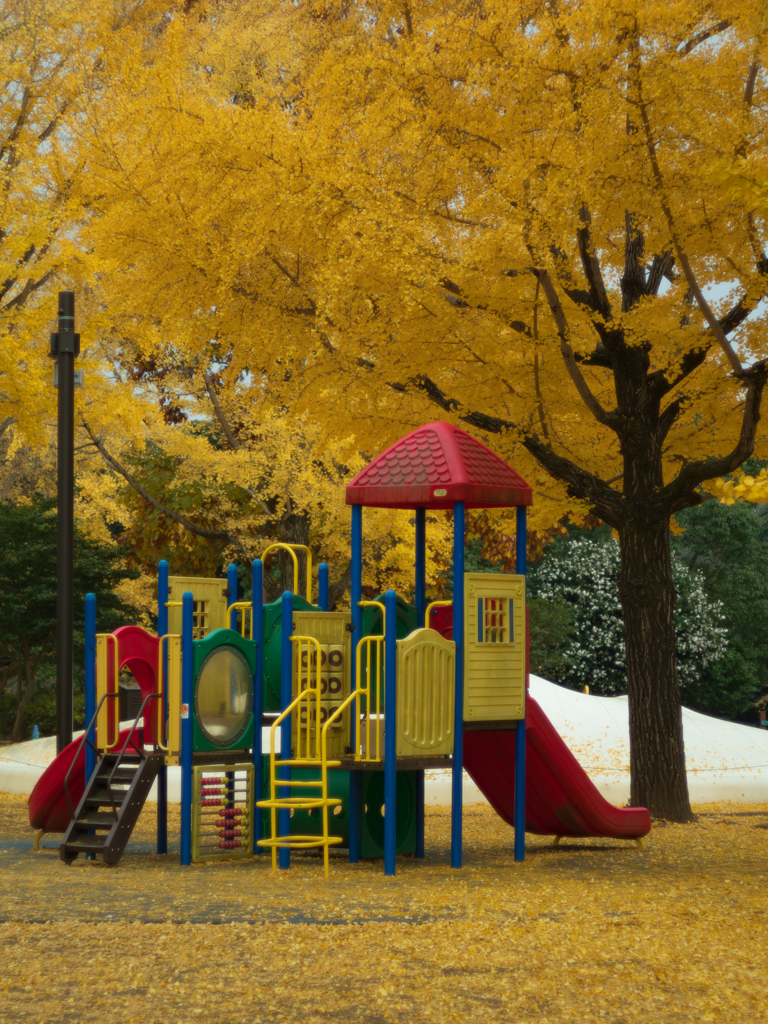 遊具と黄葉