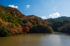 亀山湖紅葉