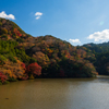 亀山湖紅葉