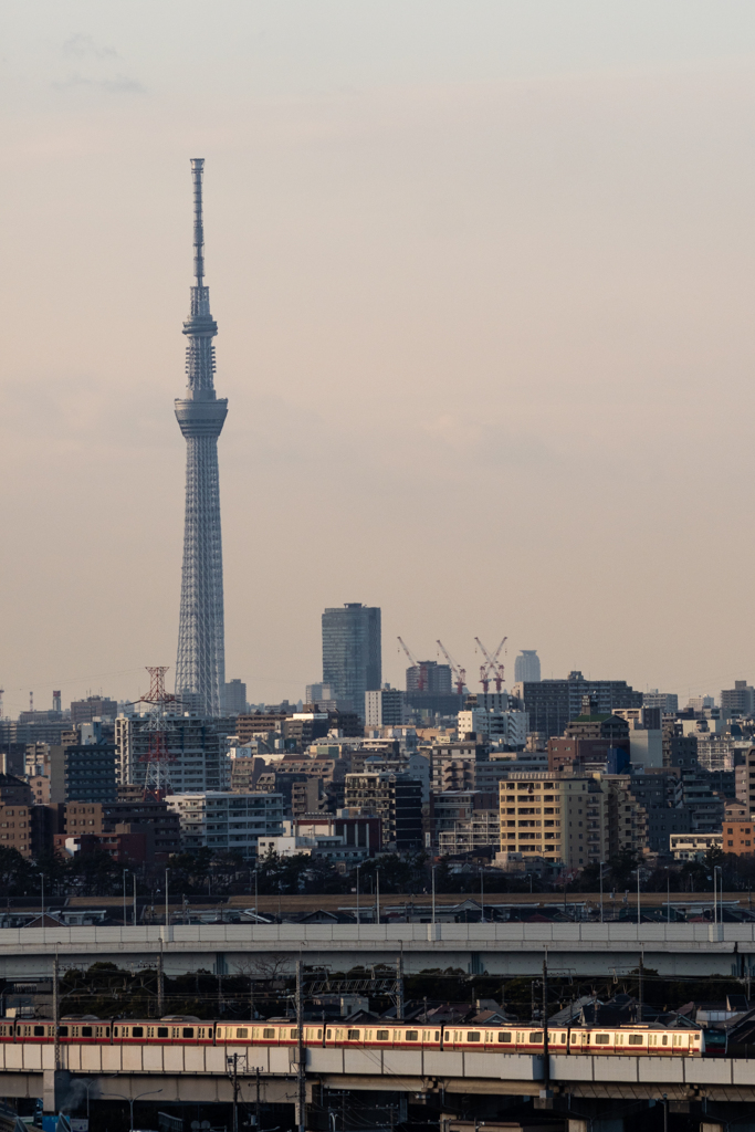 スカイツリーと陽光浴びる京葉線