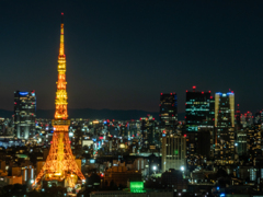 東京夜景 シーサイドトップ タワービュー