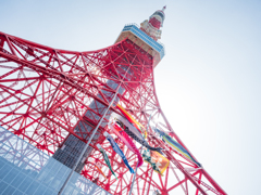 東京タワーと秋刀魚＆鯉のぼり