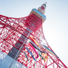 東京タワーと秋刀魚＆鯉のぼり