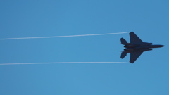 F-15機動飛行3(岐阜基地航空祭2018)