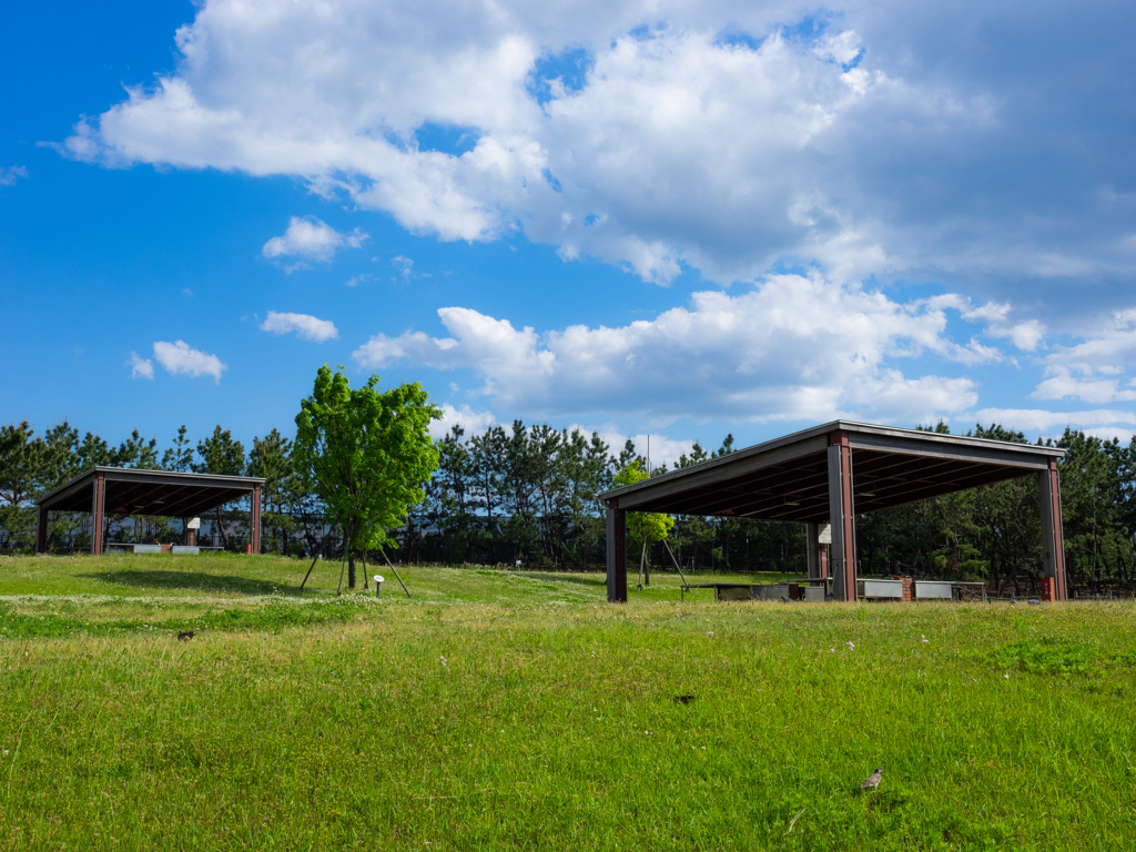 デイキャンプ場