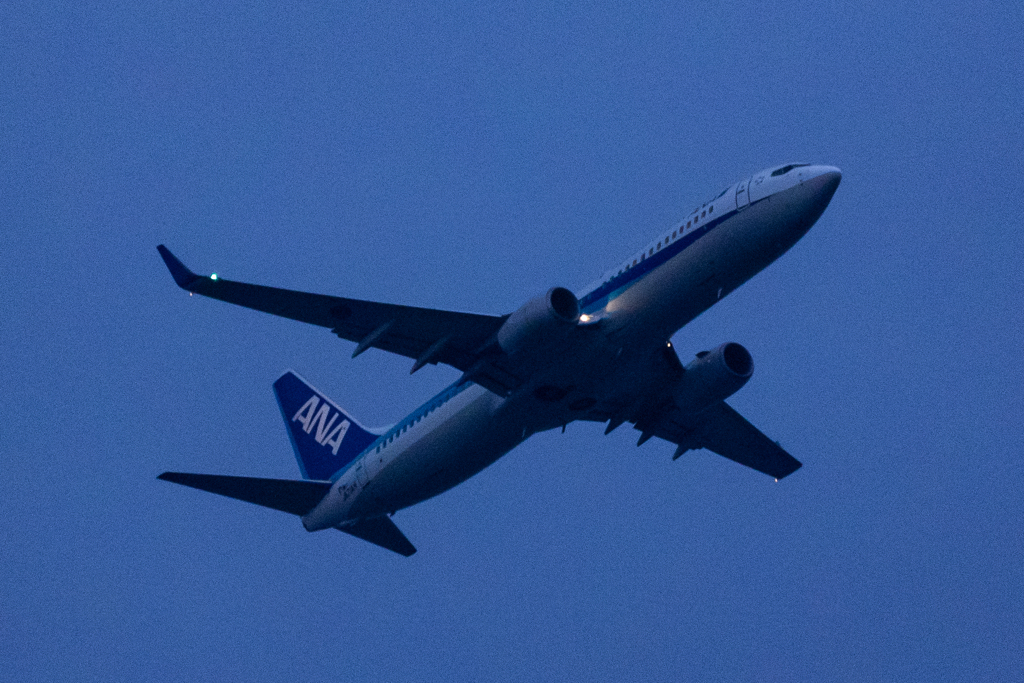 全日本空輸 B737-881 JA71AN