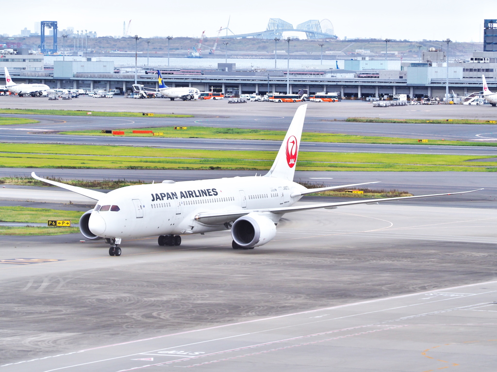日本航空 B787-8 Dreamliner JA827J(羽田空港)