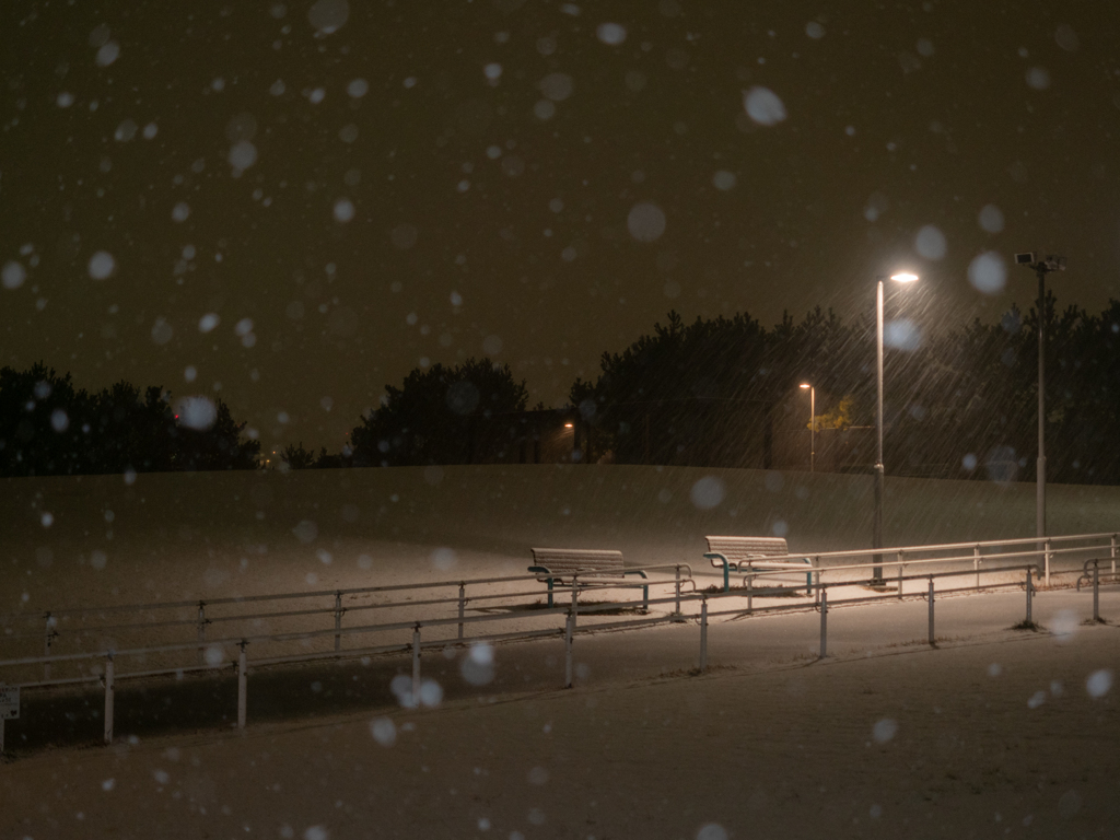 浦安雪景色 総合公園2