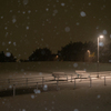 浦安雪景色 総合公園2