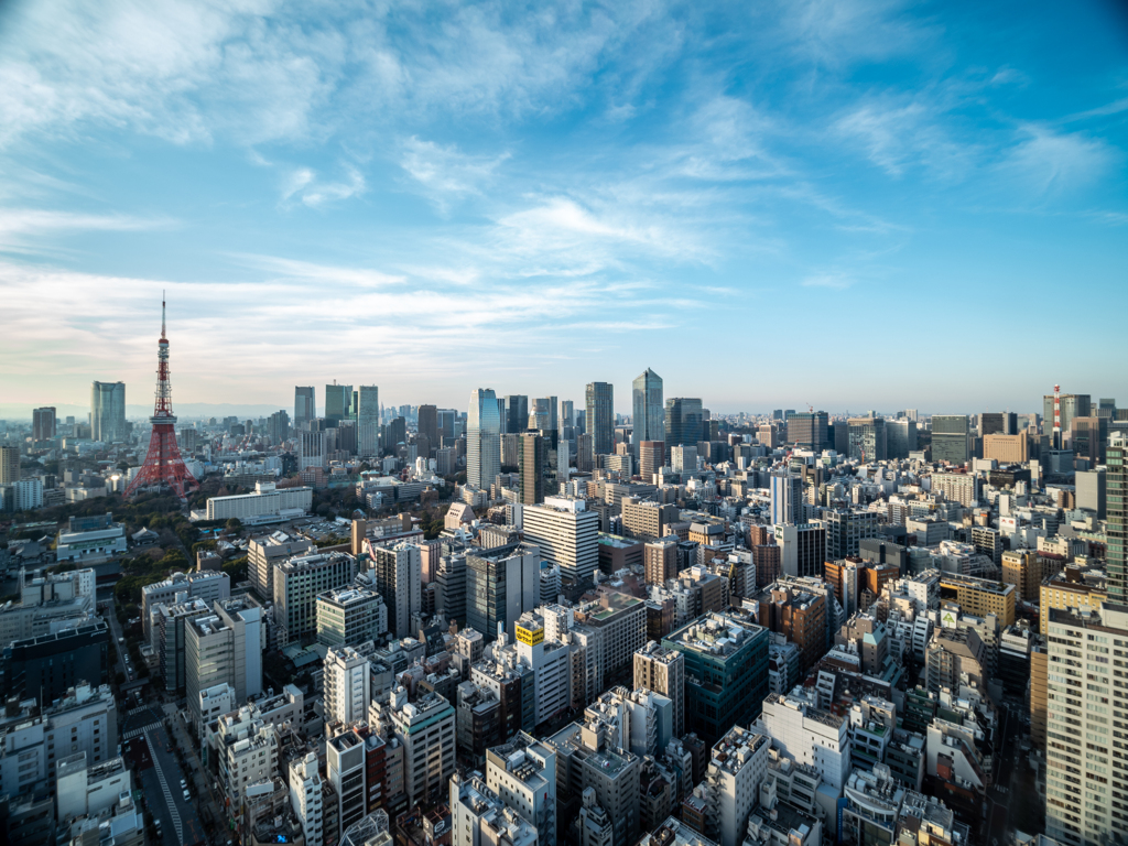 東京広角昼景 シーサイドトップ(東京タワー側)