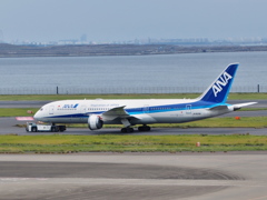 全日本空輸/ANA B787-8 Dreamliner JA809A(羽田空港)