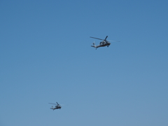 US NAVY UH-60 2機編隊(浦安市総合公園)