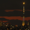 3.11特別ライティング「明花」(2)