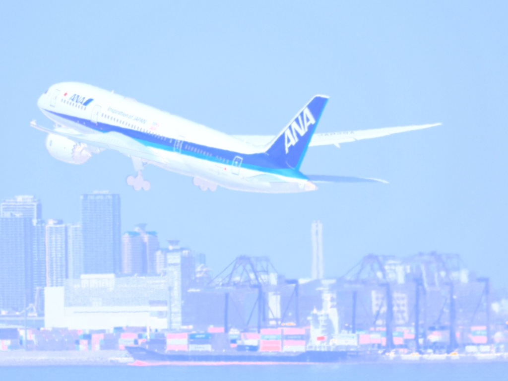 絵画っぽい(全日本空輸 B787-8 JA838A)