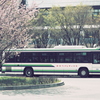 桜とバス