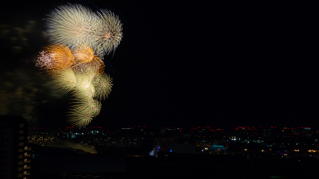TDL ニューイヤーズ・イヴ 花火09