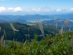 鳥兜山山頂風景