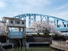鉄道風景 水門と桜と東西線
