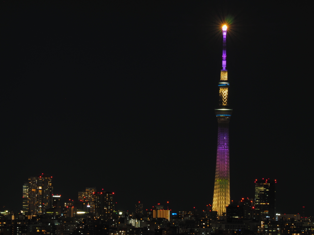 3.11特別ライティング「ラベンダー」