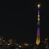 3.11特別ライティング「ラベンダー」