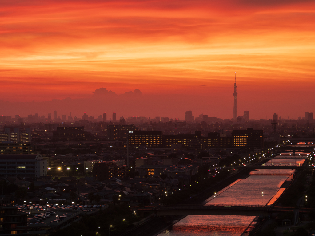 浦安夕景 20230828