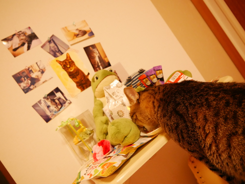 お供えを奪い取る後輩くん