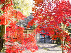 紅葉からの風景