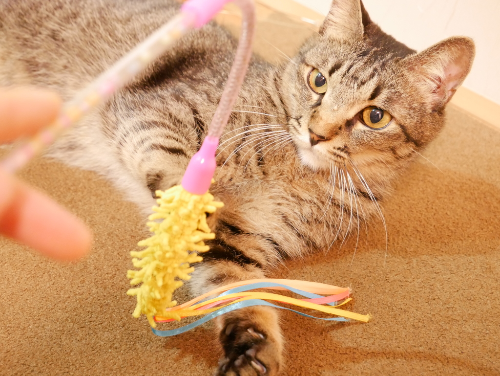 これはぼくの！