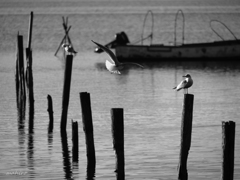 公園の風景。#01