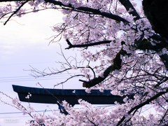 俺たちの旅。#2