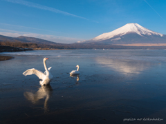 風景撮りの告白。#25