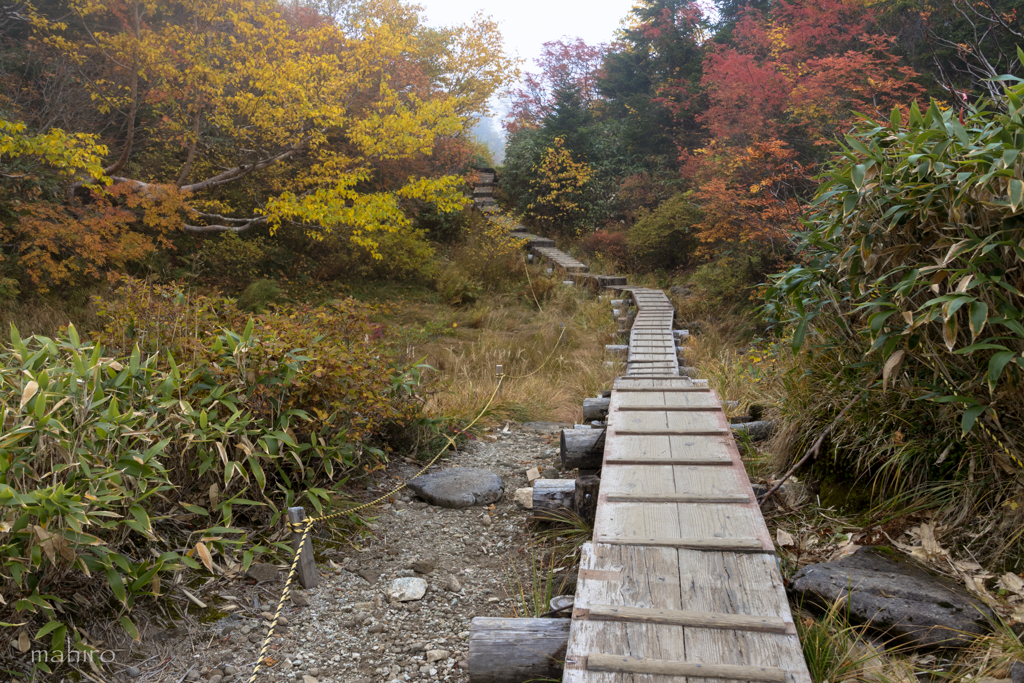 北アルプス縦走#37　新穂高温泉登山口→双六小屋