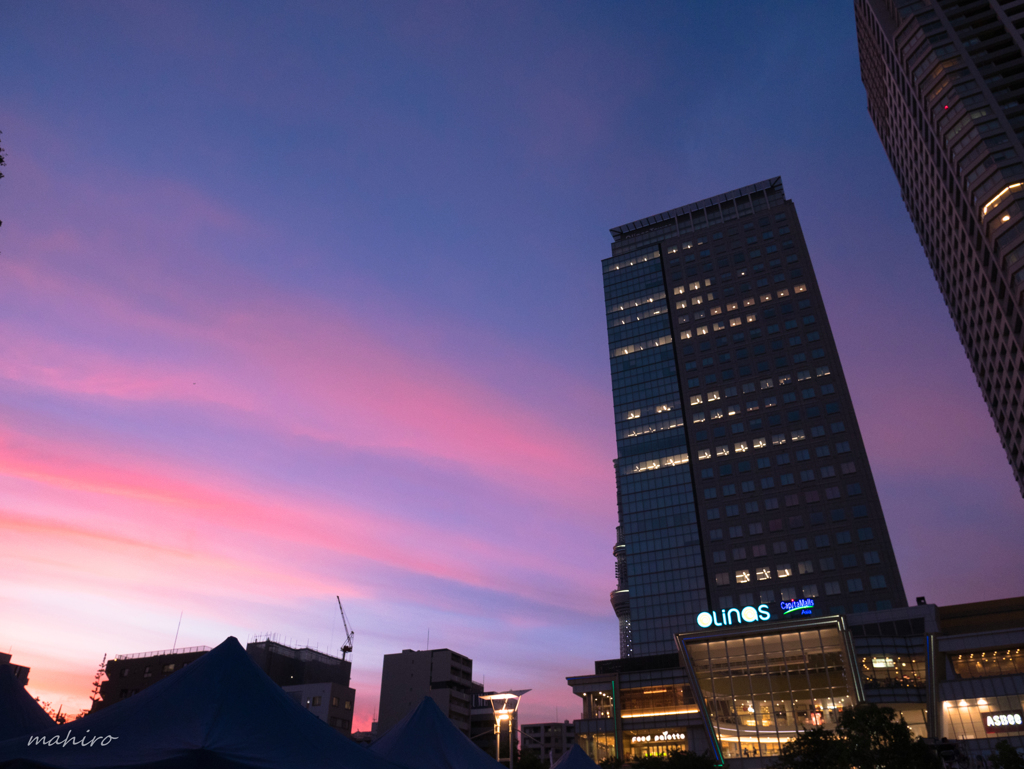 SUMIDA STREET JAZZ FES 2018 #10