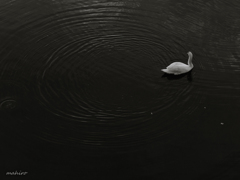 風景撮りの告白。#46